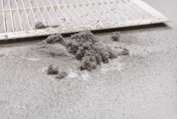 Best Local Air Duct Cleaning Services  in St Clair, MI