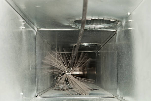 Air Duct Mold Removal in St Clair, MI