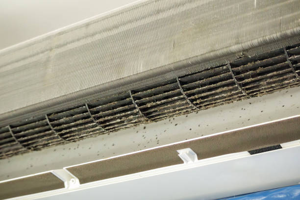 Best HVAC Air Duct Cleaning  in St Clair, MI